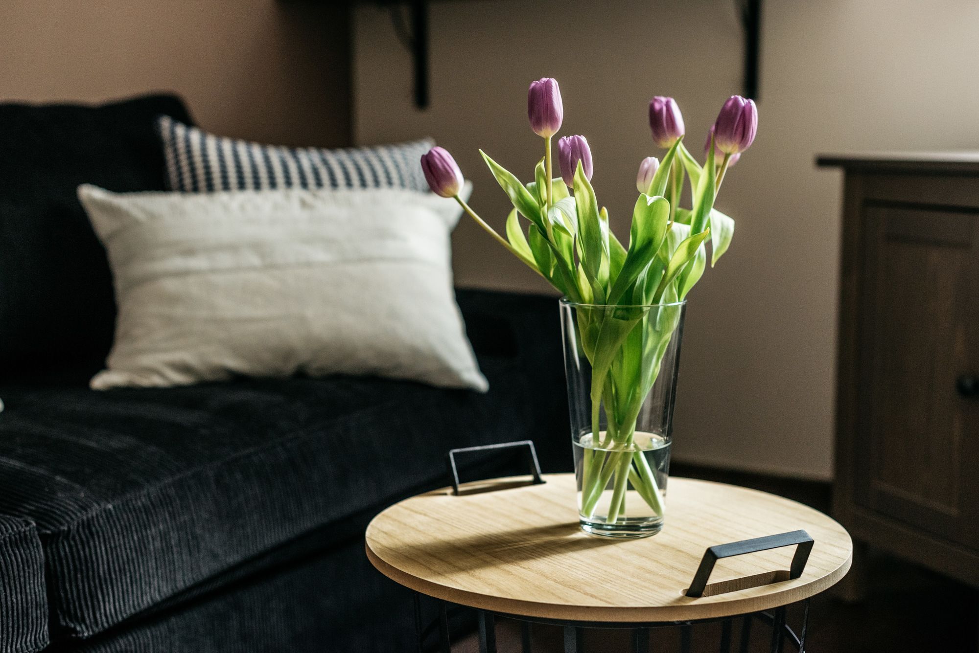 Edit Szewska 17 Apartment Old Town Kraków Zewnętrze zdjęcie